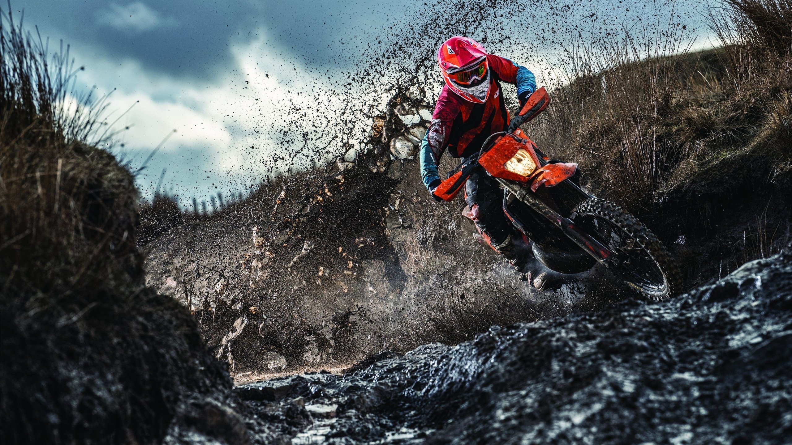 新英雄上线,战局瞬间变天!