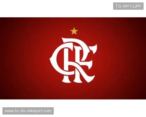 弗拉门戈商学院资源助力俱乐部运营升级:管理能力的跨界突破 弗拉门戈商学院资源助力俱乐部运营升级:管理能力的跨界突破