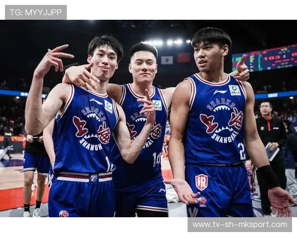 中国篮球是否推动建立全国统一的篮球数据平台，中国的篮球市场