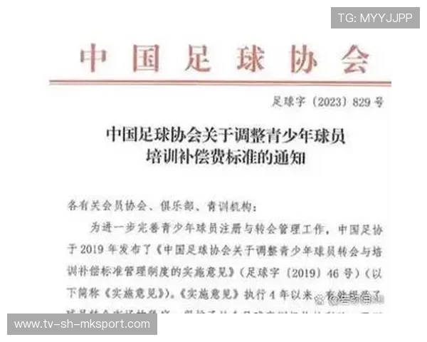 中国足球青训体系与国际标准接轨，中国足球的青训理念包括